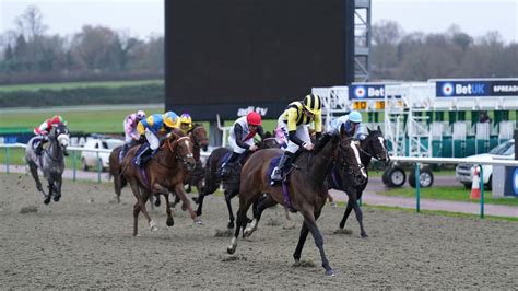 lingfield race card today|Home .